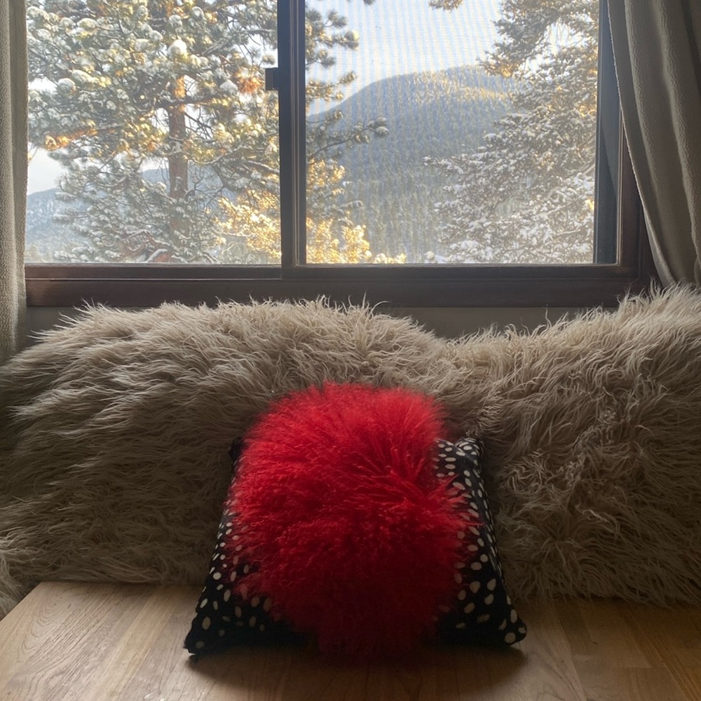 Fun leather with sheep’s fur pillow